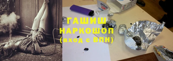 шишки Бородино