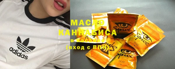 шишки Бородино