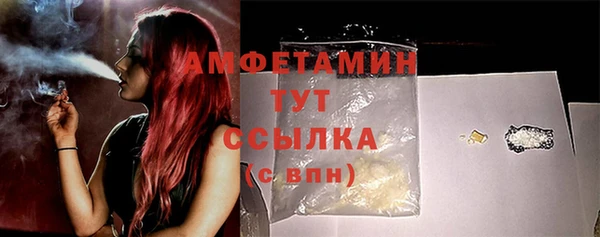 шишки Бородино