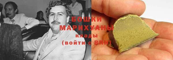шишки Бородино