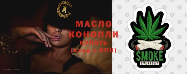 шишки Бородино