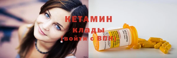 шишки Бородино