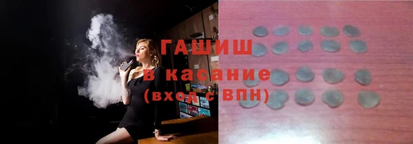 шишки Бородино
