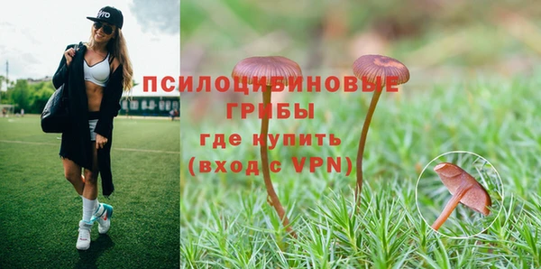 MDMA Premium VHQ Бронницы