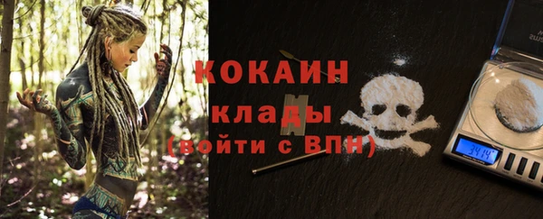 шишки Бородино
