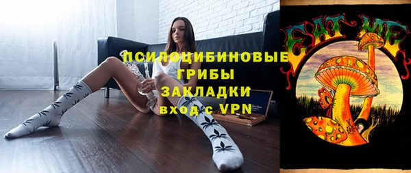 шишки Бородино
