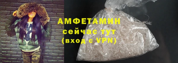 шишки Бородино